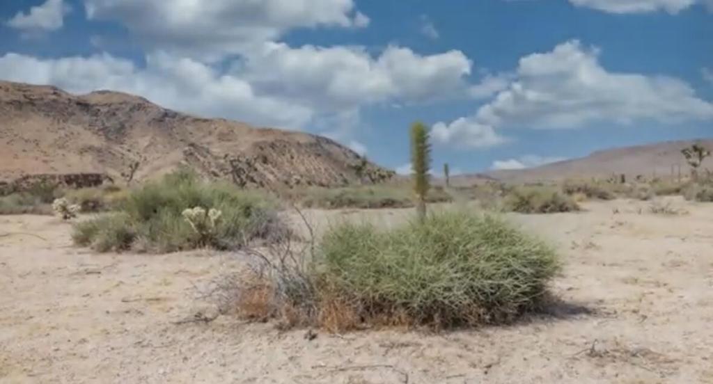 Not Applicable-1 - Land