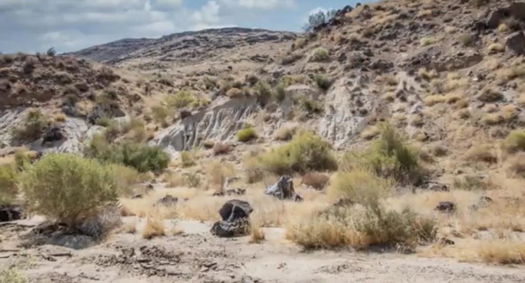 Not Applicable-1 - Land