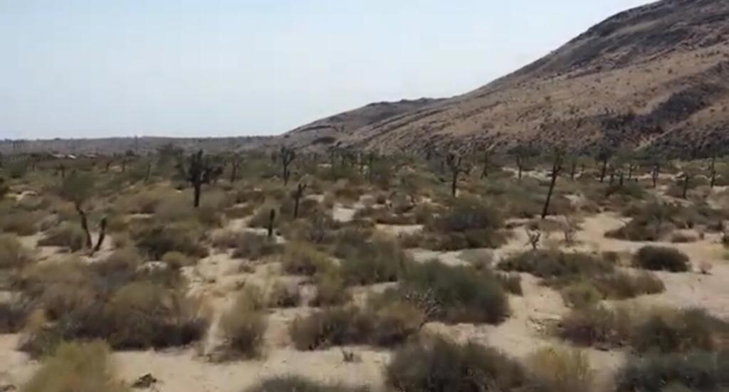 Not Applicable-1 - Land