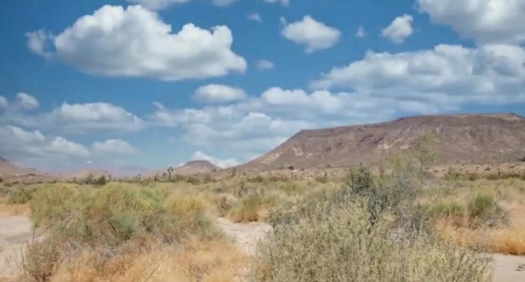 Not Applicable-1 - Land