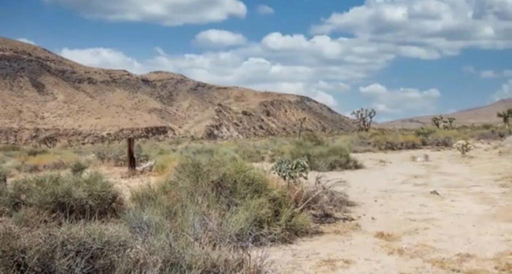 Not Applicable-1 - Land