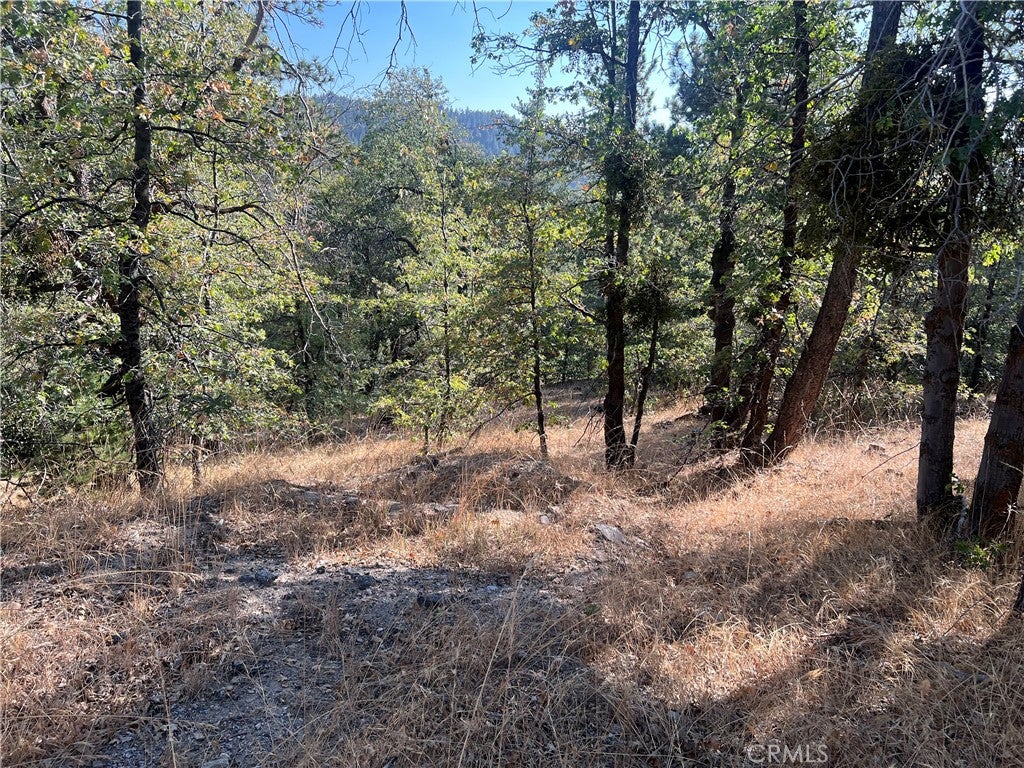 0 Lone Pine Dr.