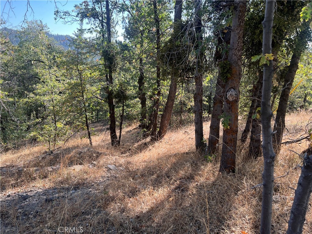 0 Lone Pine Dr.