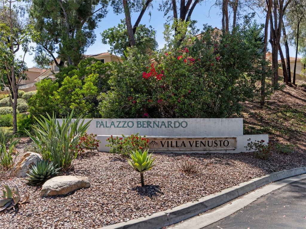 16130 Avenida Venusto