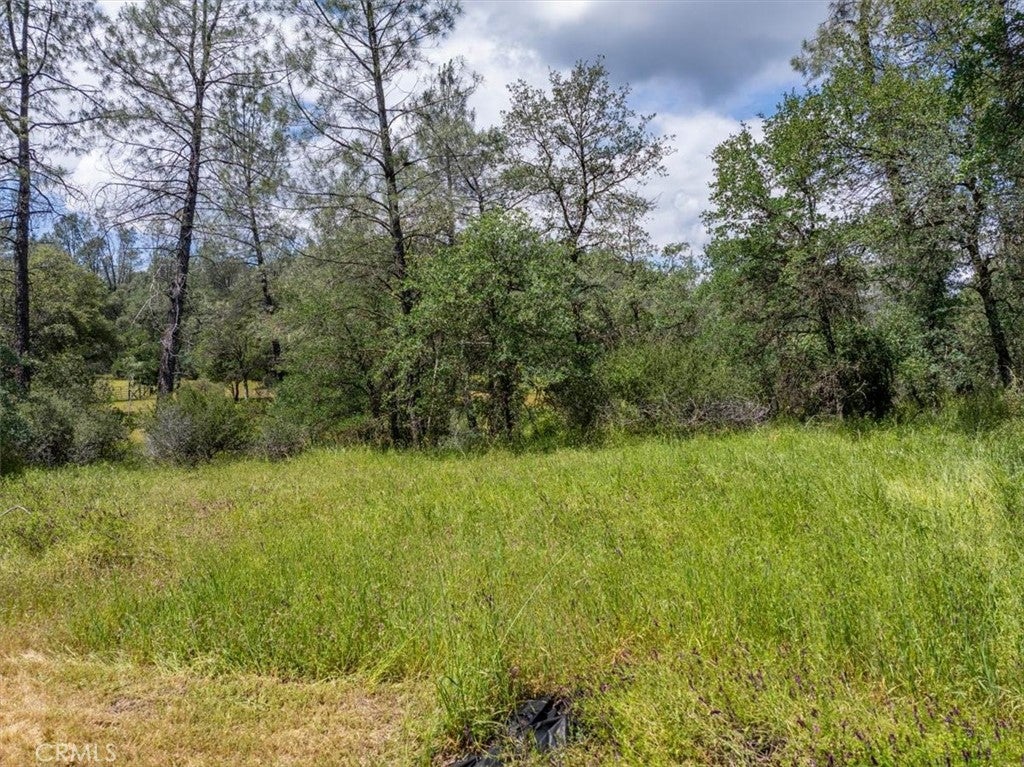 506 Black Canyon