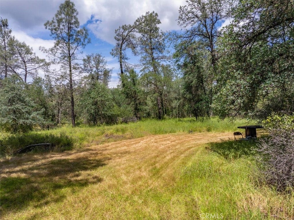 506 Black Canyon