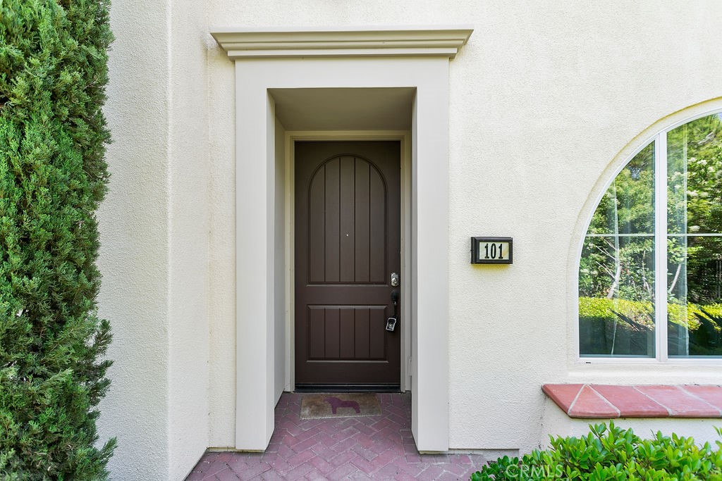 101 Thornhurst
