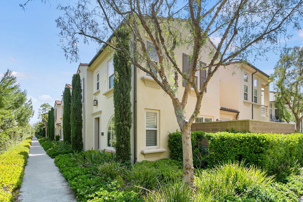 101 Thornhurst