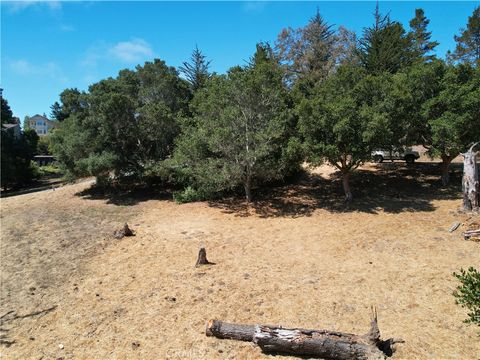 Tiny photo for 0 Londonderry Lane, Cambria, CA 93428 (MLS # NS25177851)