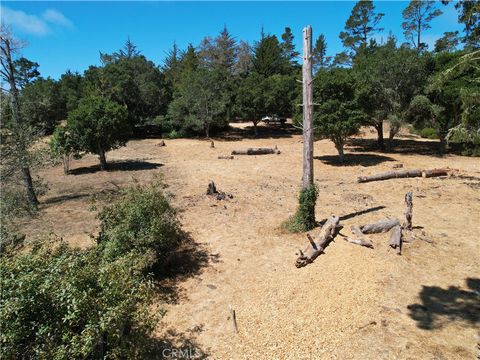 Tiny photo for 0 Londonderry Lane, Cambria, CA 93428 (MLS # NS25177851)