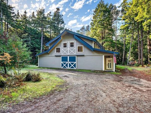 Photo of 19400 Dorffi Road, Fort Bragg, CA 95437 (MLS # C1-11221)