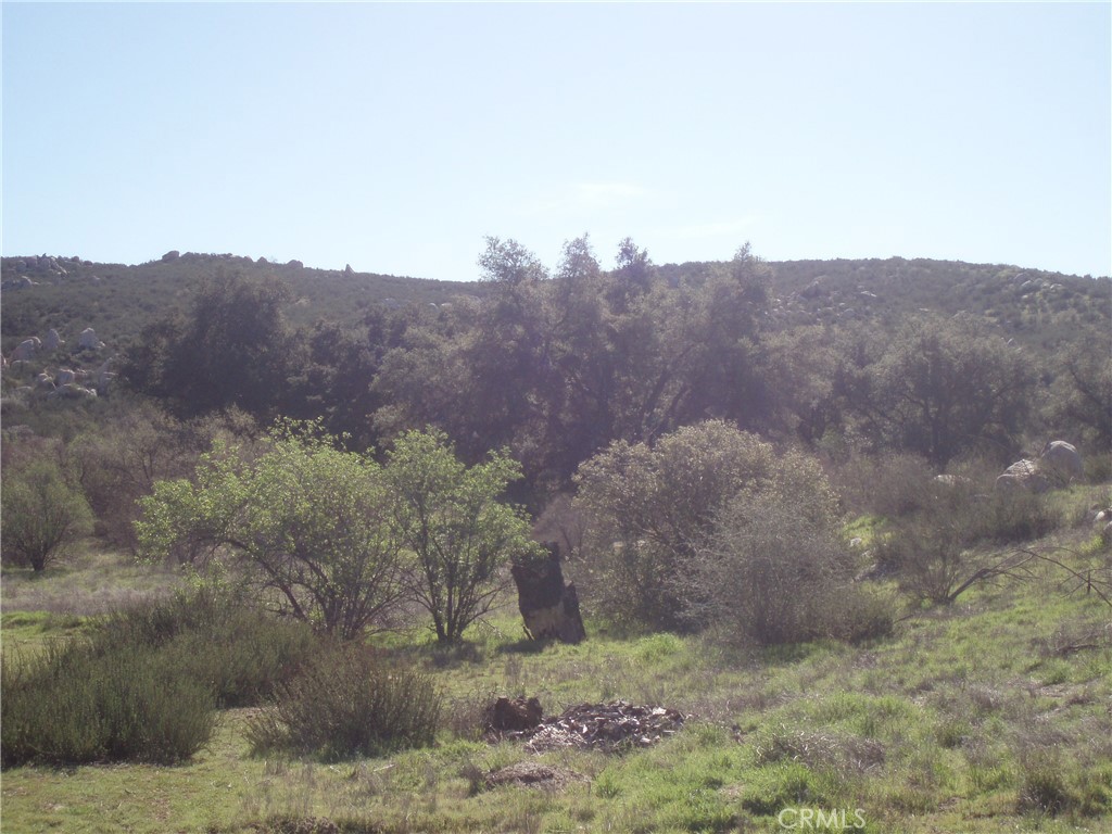 0 Willow Canyon Road