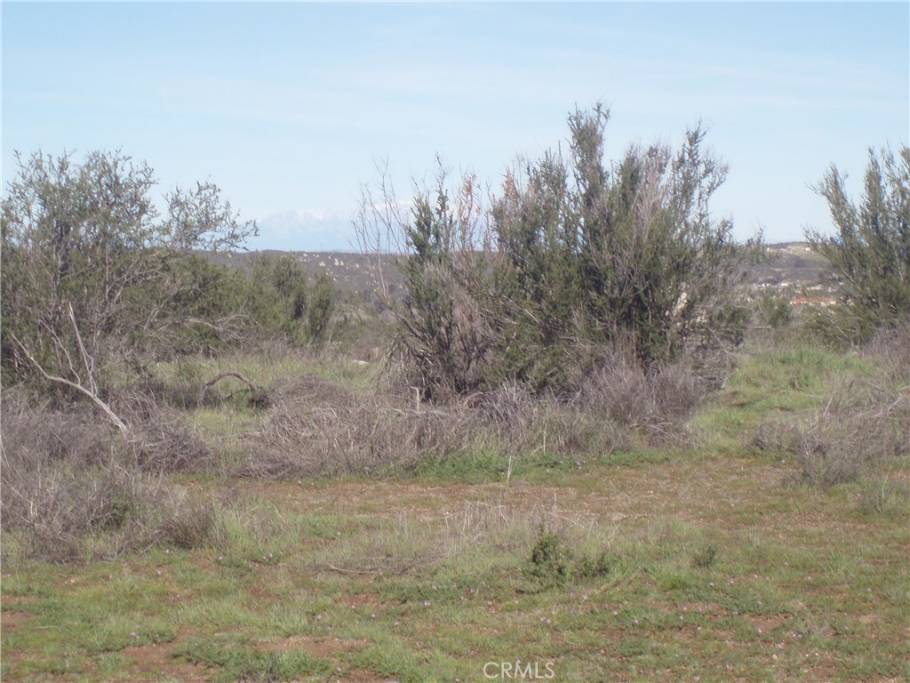 0 Willow Canyon Road