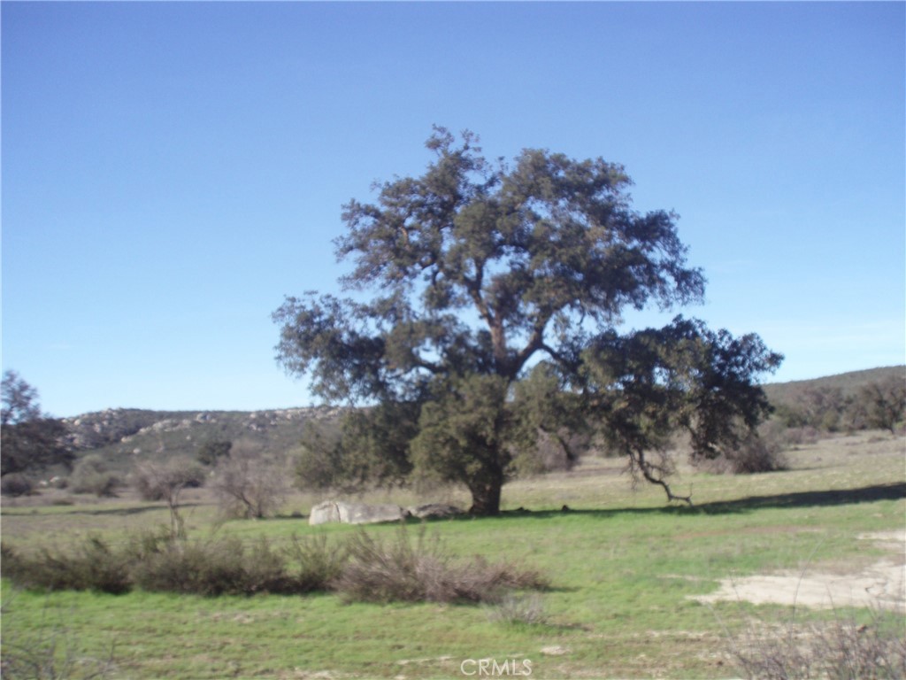 0 Willow Canyon Road