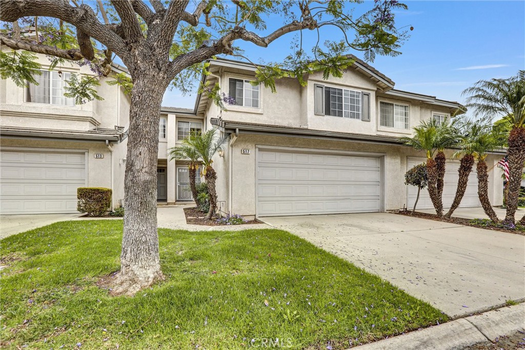 517 Orilla Walk