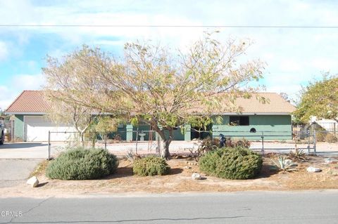 Photo of 7670 Newhall Avenue, Hesperia, CA 92345 (MLS # V1-33437)