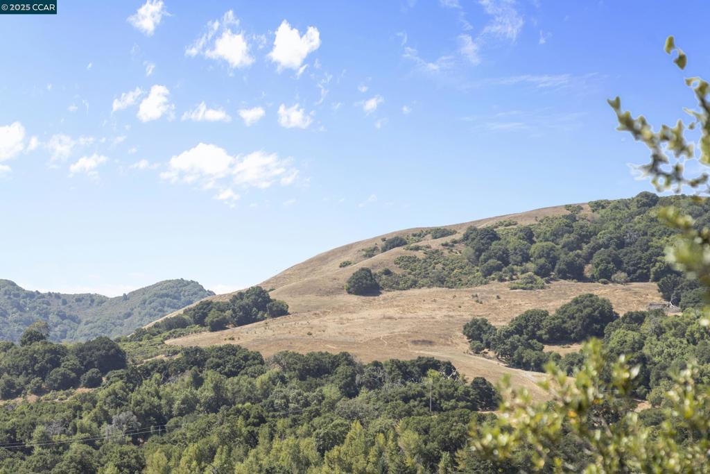 ORINDA WOODS - Residential