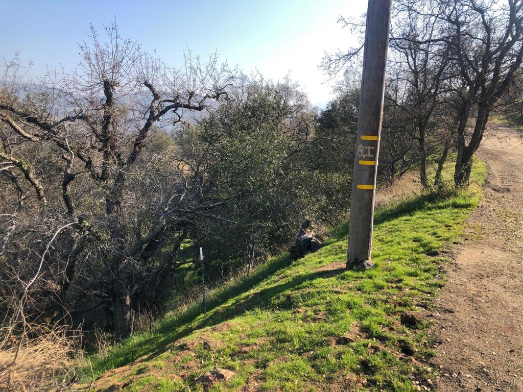 0 Totem Lane