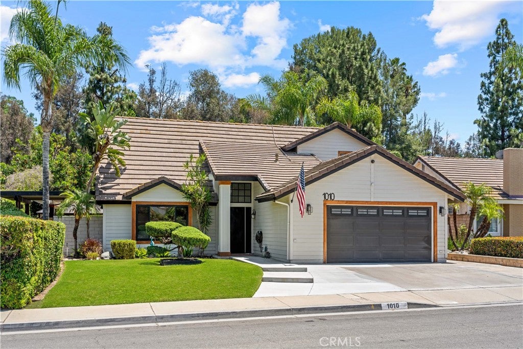 1010 Cogburn