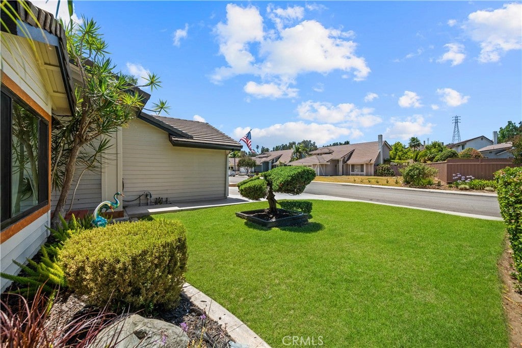 1010 Cogburn