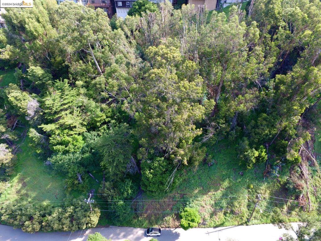 Build your custom dream home in the Oakland Hills! Ideally located in Piedmont Pines and just a quick trip to Montclair shops, restaurants, and weekend farmer’s market. Set in a very well established, green, and peaceful neighborhood amongst homes selling for close to $2M. Survey, geotechnical, and arborist reports are available for the new owner. Lot comes with conceptual plans for a new single family home. Don't miss this great opportunity to own land in a prime location and create the house of your dreams!