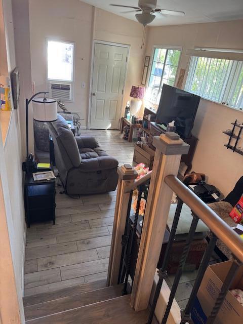 Safari Park - Manufactured In Park