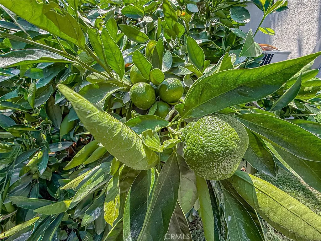 Tarzana, California 91335, United States, 4 Bedrooms Bedrooms, ,2 BathroomsBathrooms,Residential,Active,224784