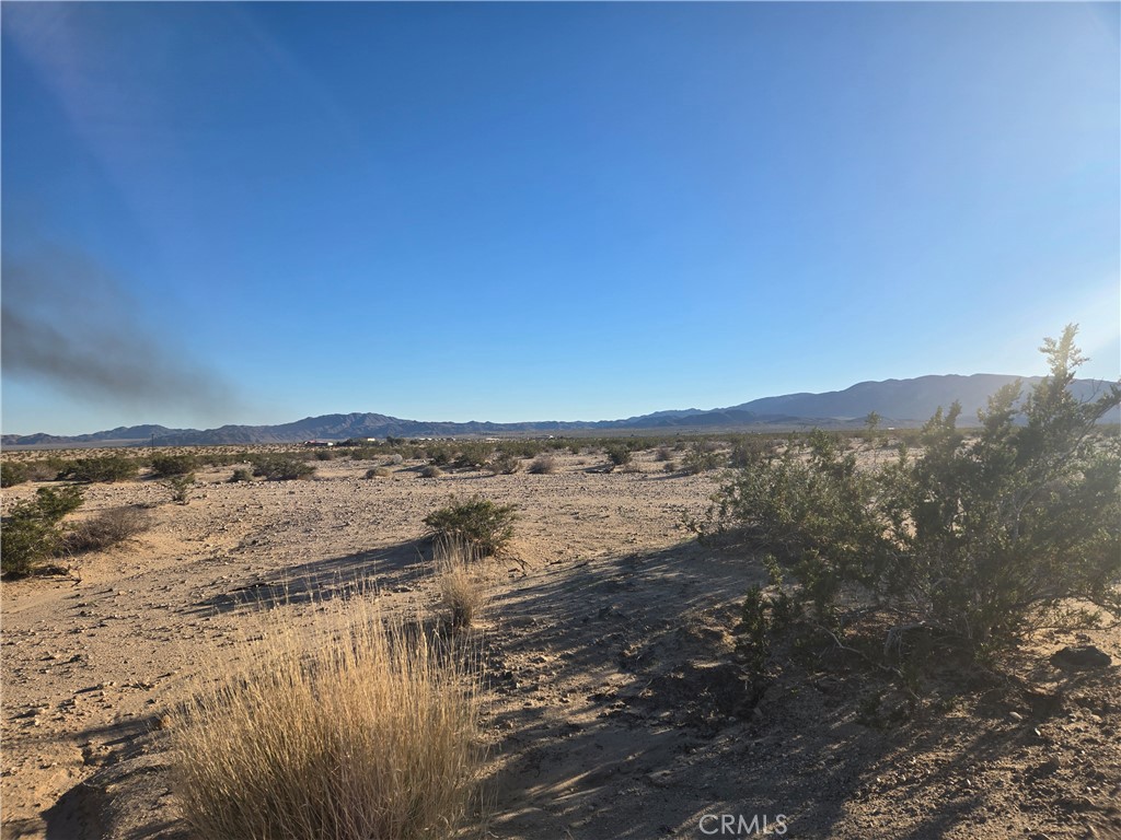 1234 Amboy Road