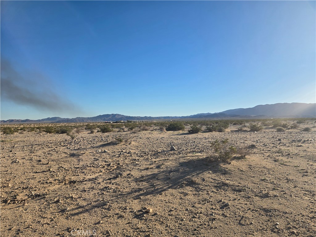 1234 Amboy Road