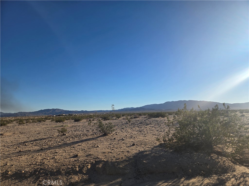 1234 Amboy Road