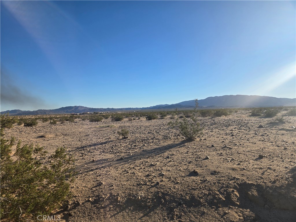 1234 Amboy Road