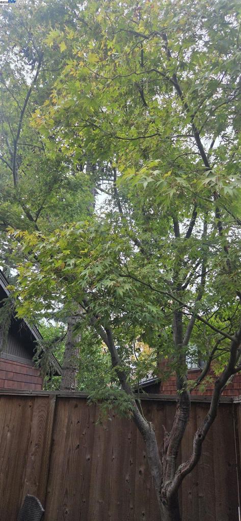 RAVENWOOD - Residential