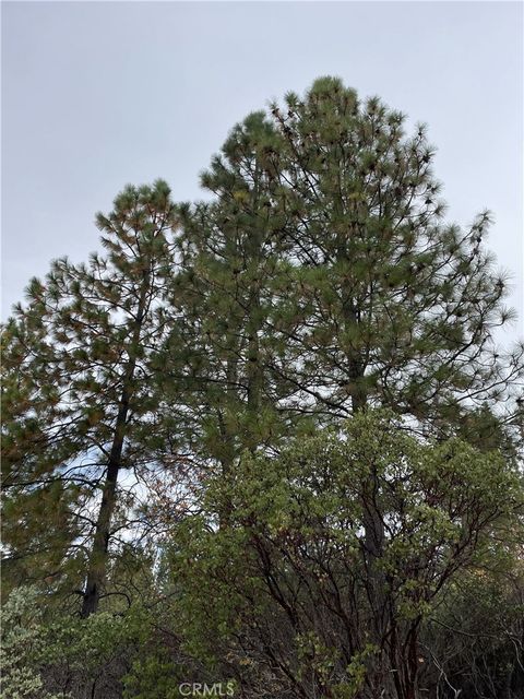 Photo of 0 Fitzgerald Circle, Forest Ranch, CA 95942 (MLS # SN25251665) Photo of 0 Fitzgerald Circle, Forest Ranch, CA 95942 (MLS # SN25251665)