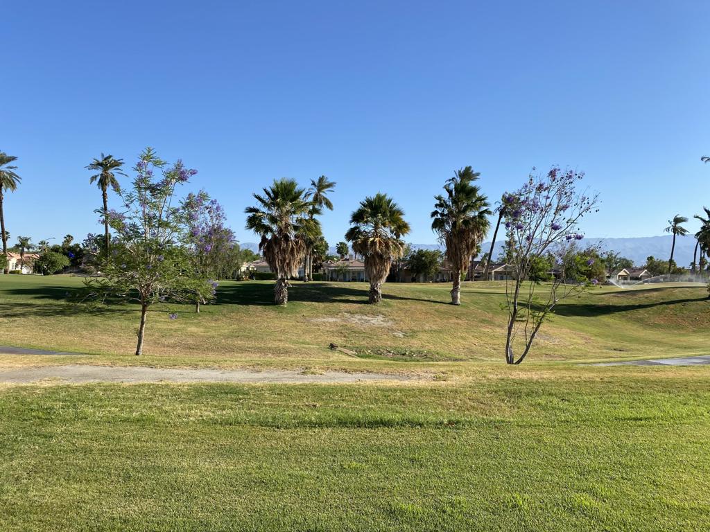 Indian Palms (31432) - Residential