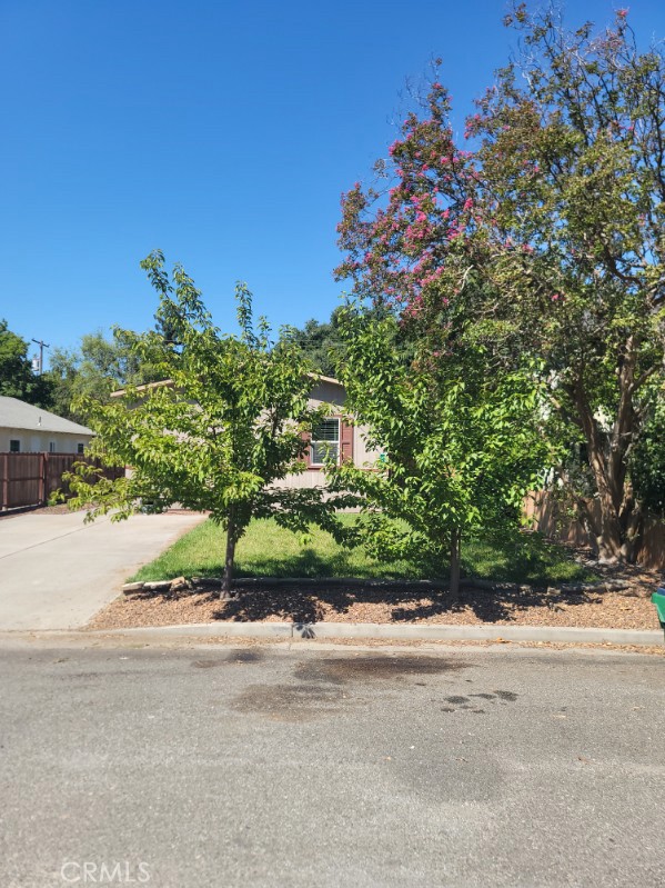 235 Los Robles Avenue