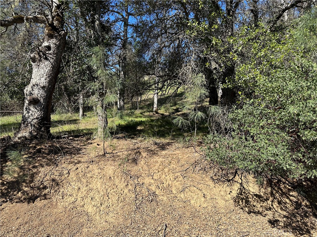 17509 Cache Creek