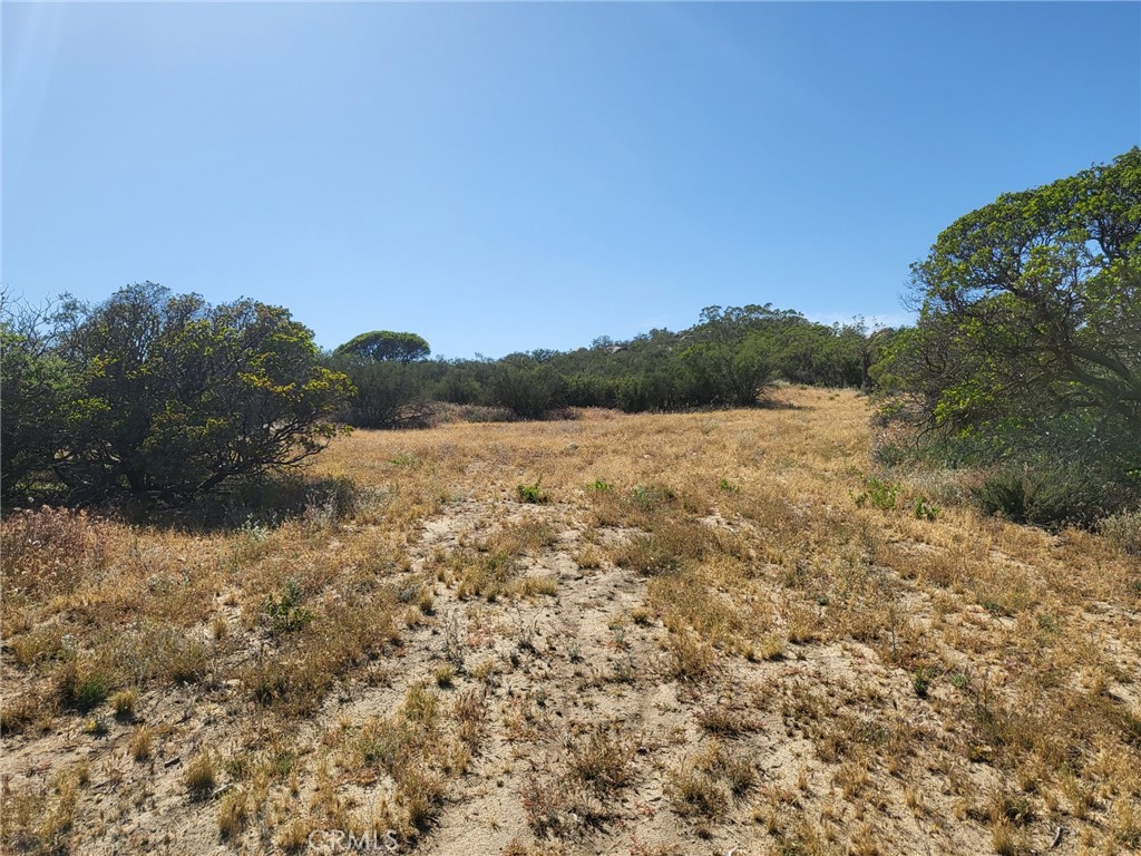 887 Forest Springs Road