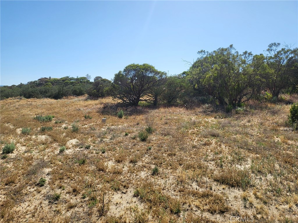 887 Forest Springs Road