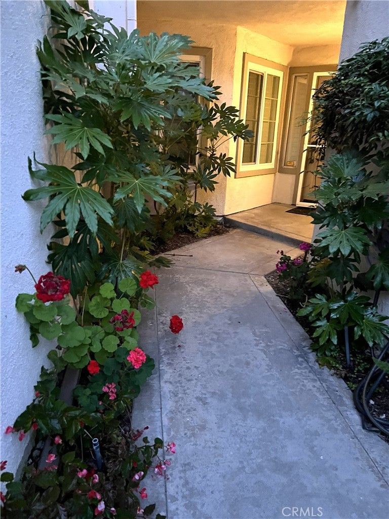 31 Calle Melinda