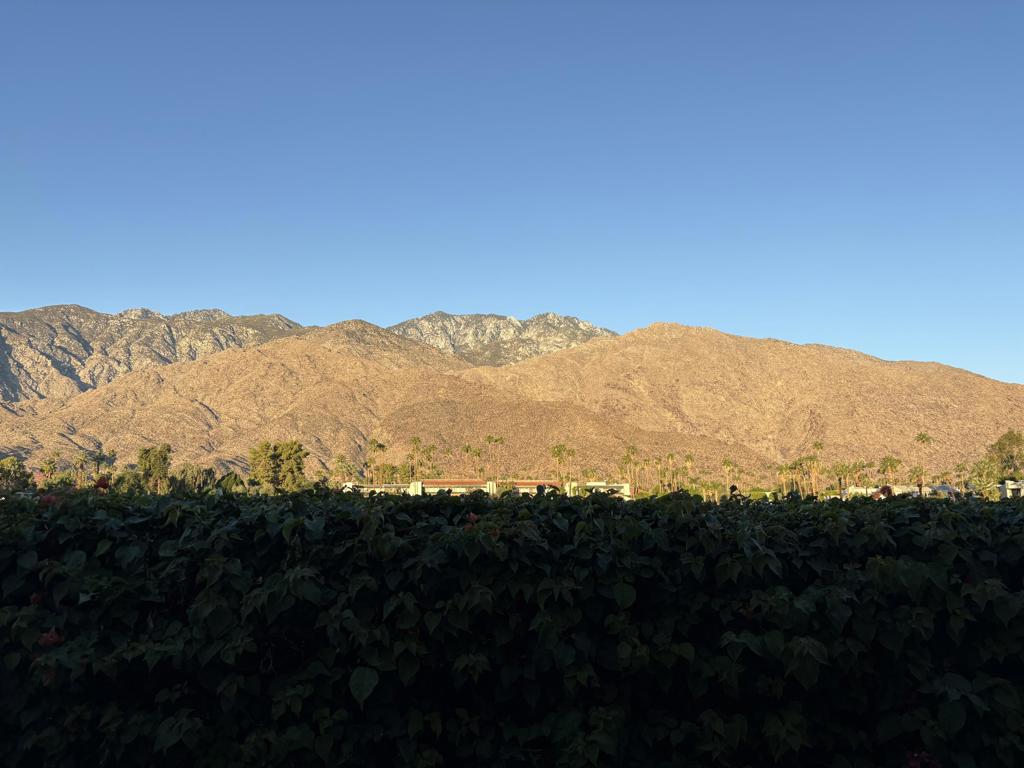 1655 E Palm Canyon Drive 319