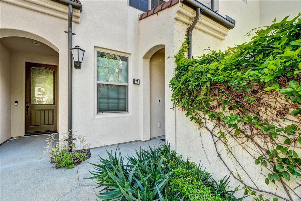 71 Tallowood