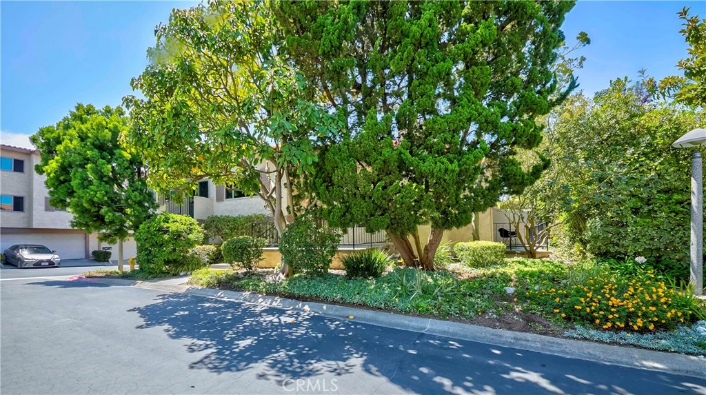 28331 Ridgefalls Court 129