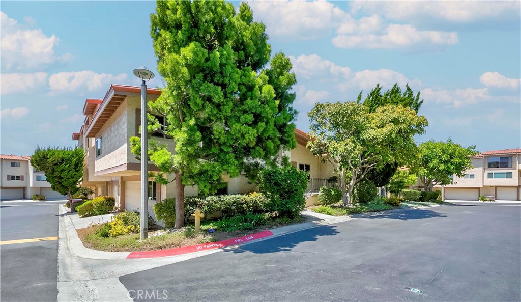 28331 Ridgefalls Court 129