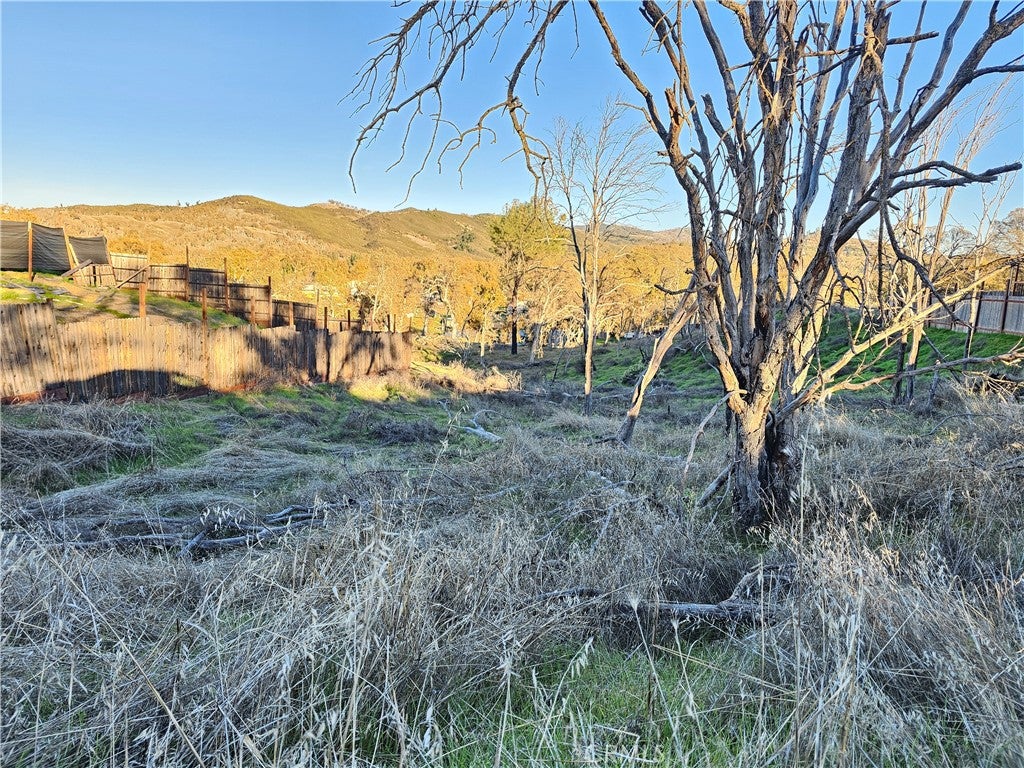 9498 Copsey Creek