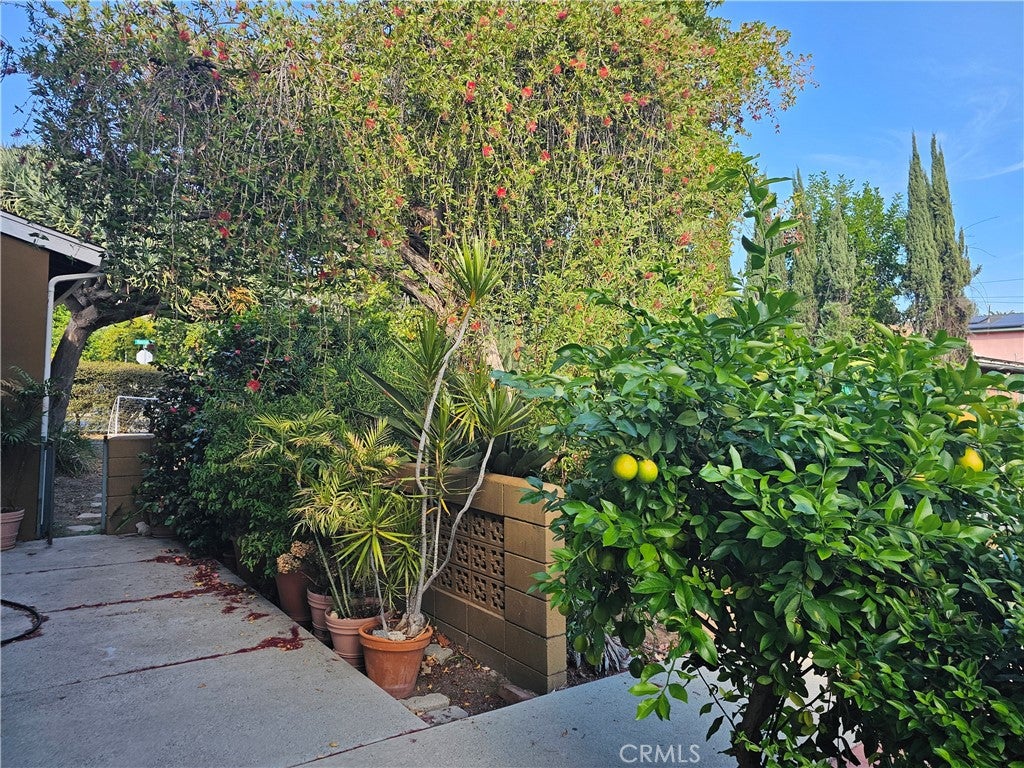 262 E Mountain Street
