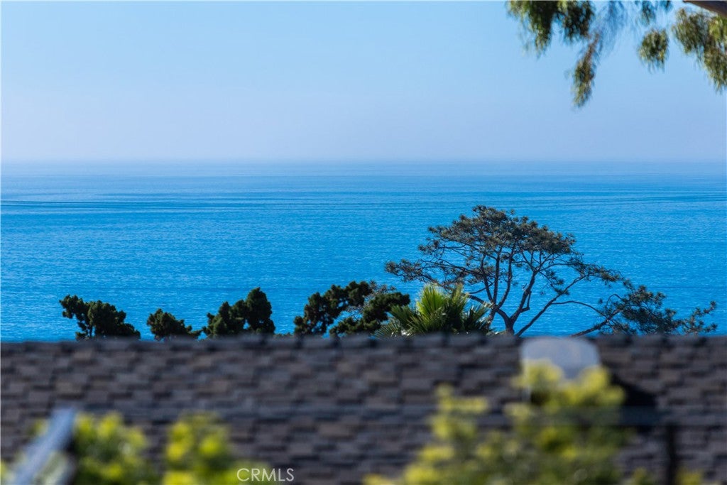 31511 West Street, Laguna Beach CA 92651 - Photo 29