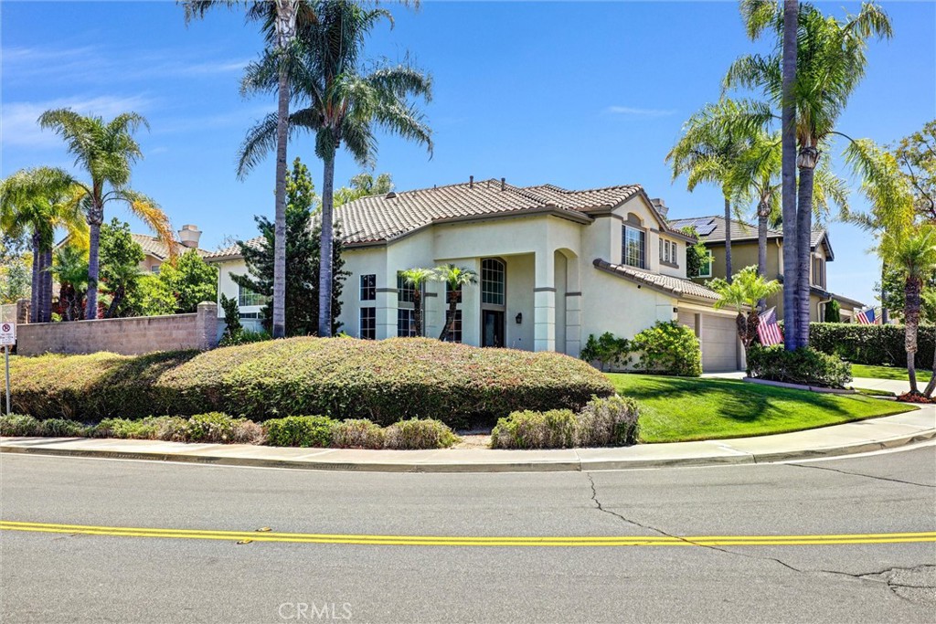 4 Larkspur