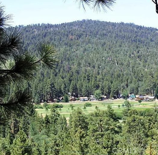 801 Menlo