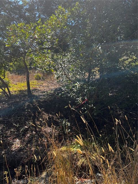 Photo of 3236 Gleason Street, Cambria, CA 93428 (MLS # PI25222819) Photo of 3236 Gleason Street, Cambria, CA 93428 (MLS # PI25222819)
