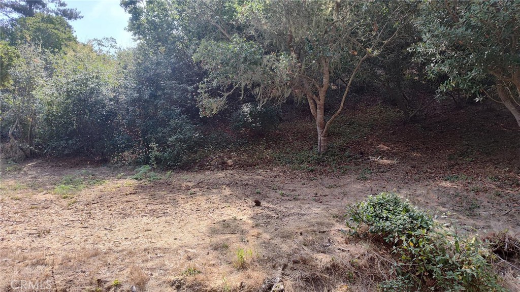 Cambria Rural(390) - Land